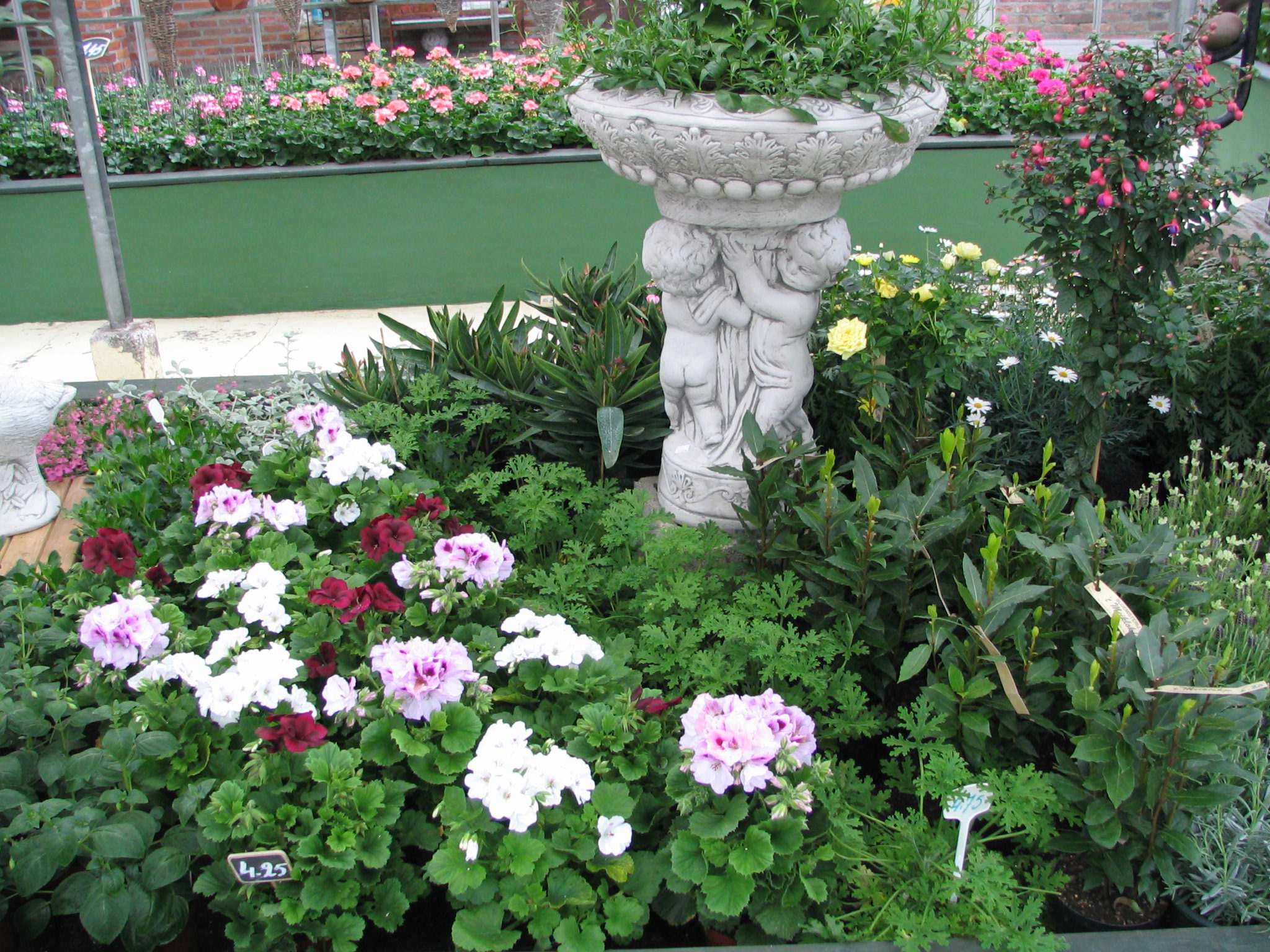planten-seizoen-meiklokje-hechtel--