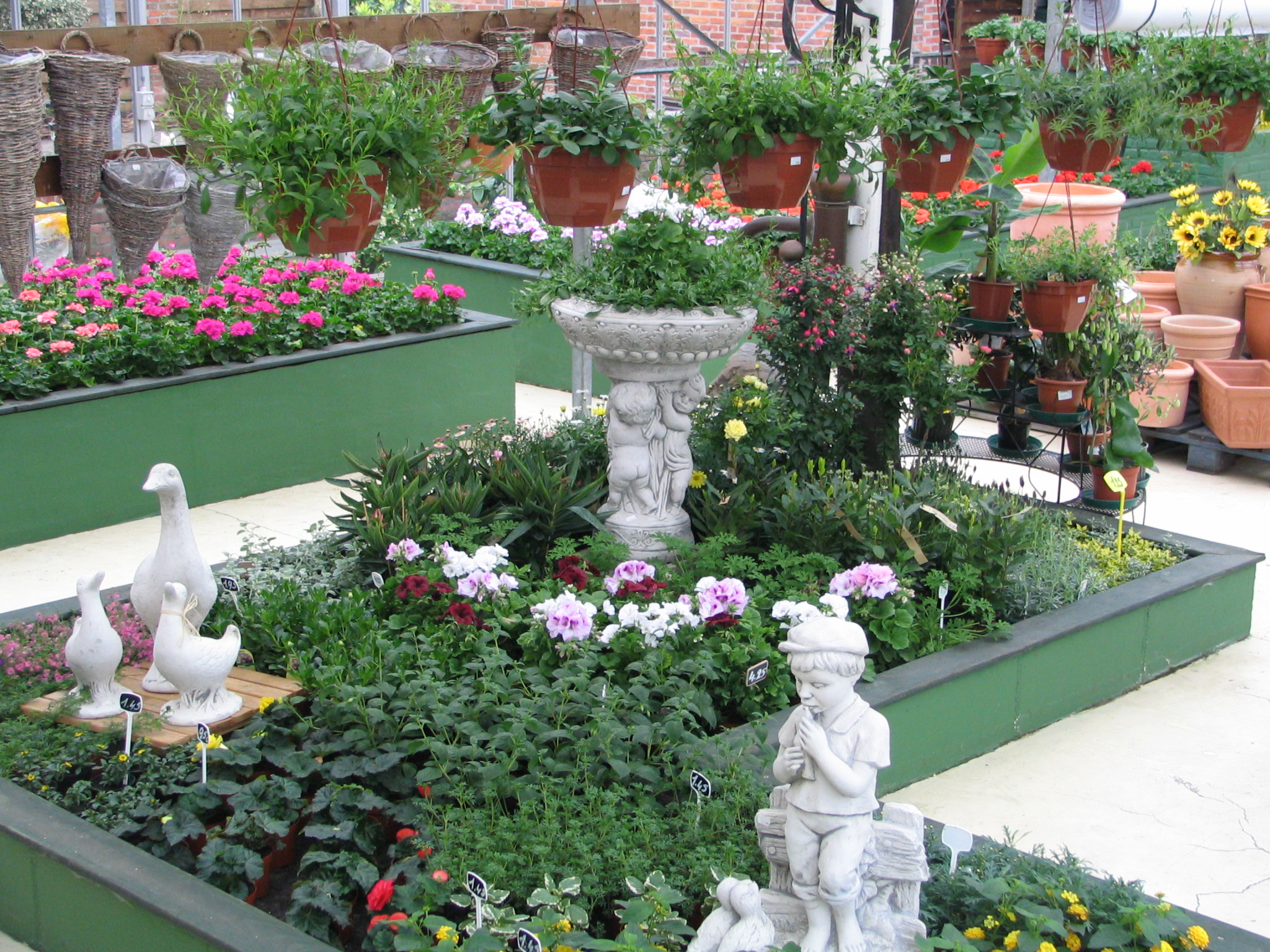 planten-seizoen-meiklokje-hechtel--