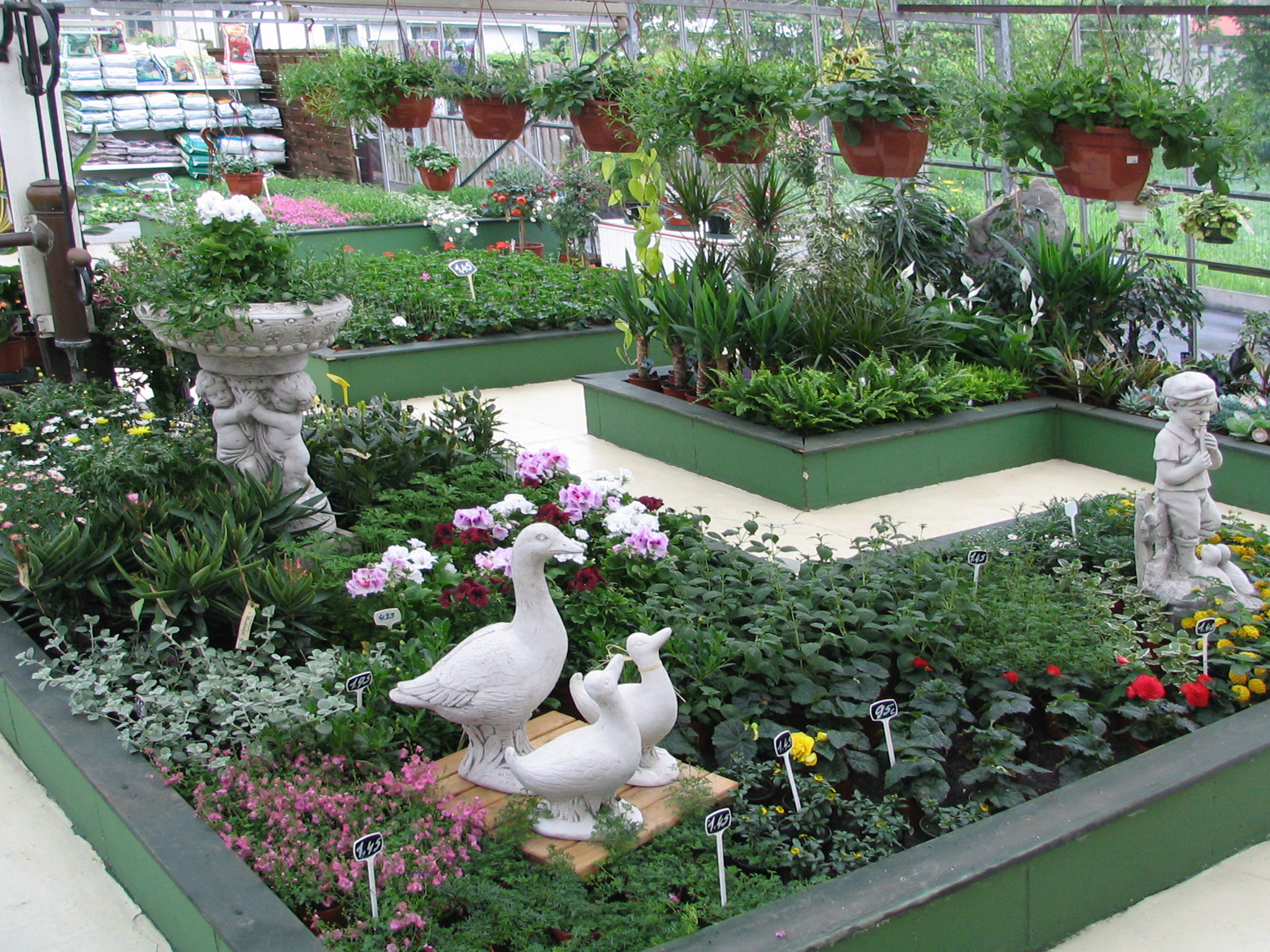 planten-seizoen-meiklokje-hechtel--