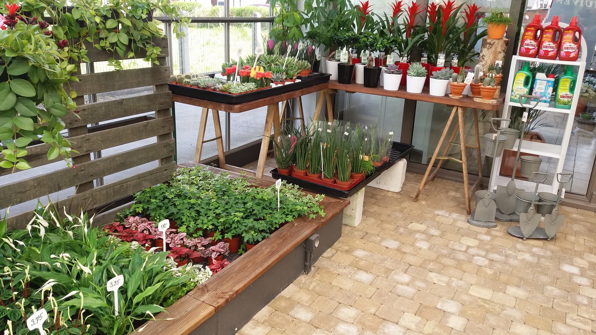 planten-seizoen-meiklokje-hechtel-