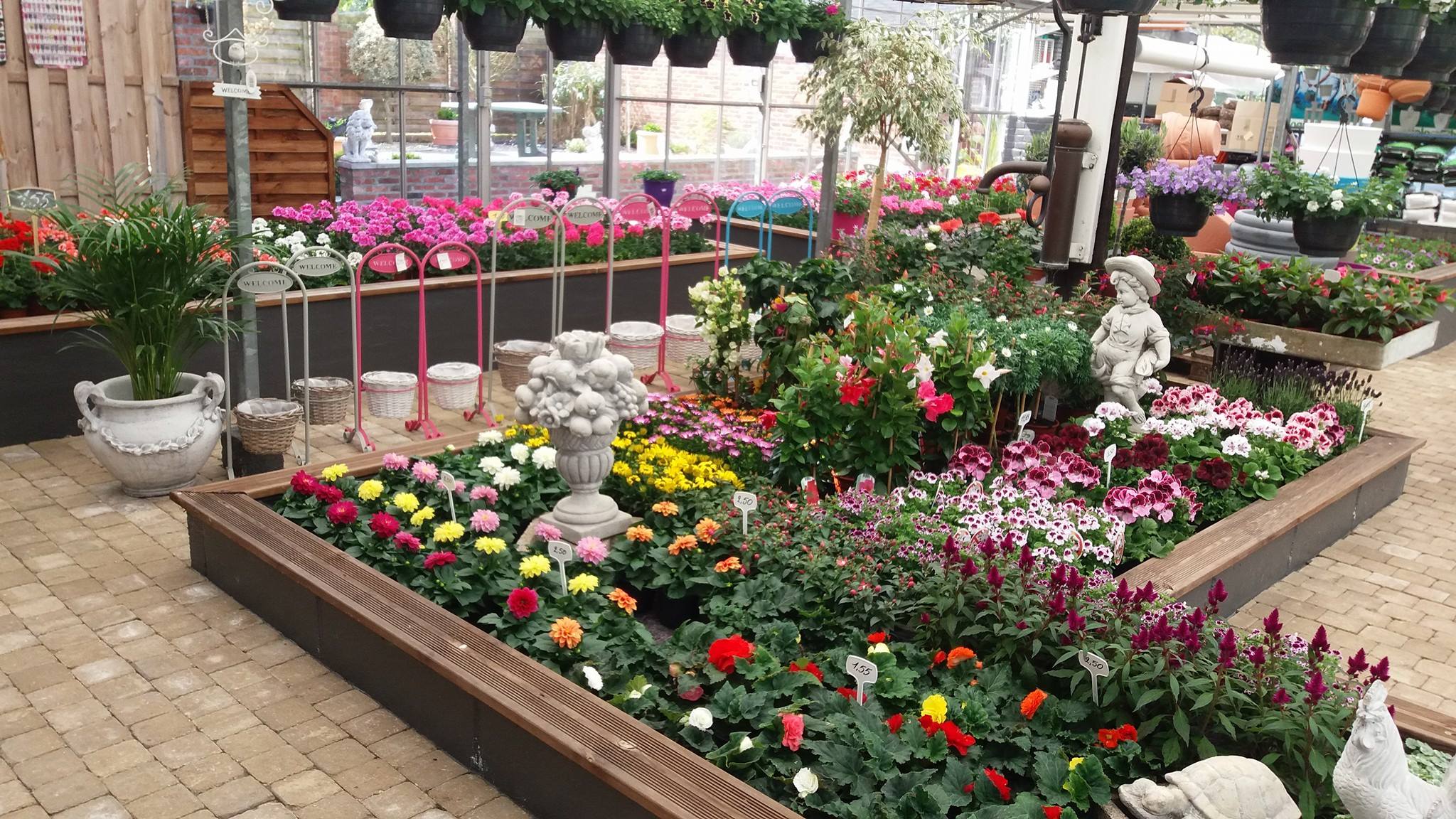 planten-seizoen-meiklokje-hechtel-